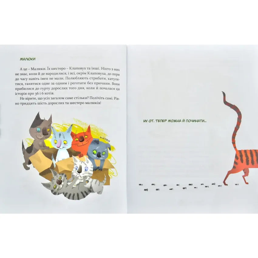 36 і 6 котів (вусато-хвостата історія для дітей)